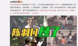 女方爆料赵辰宇视频,真相背后引人深思